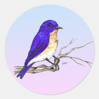 BlauwvogelSticker Ronde Sticker