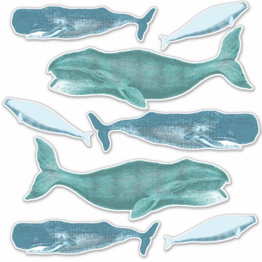  blauwwalvissen Steampunk Sticker (Voorkant)