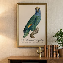Blauwwangamazone, Amazona dufresniana Foto Afdruk