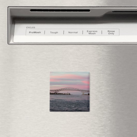 Blauwwaterbrugmagneet Magneet (Insitu (Vaatwasser))