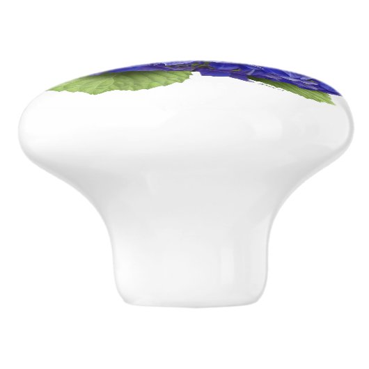 Blauwwaterventilator Keramische Knop (Zijkant)