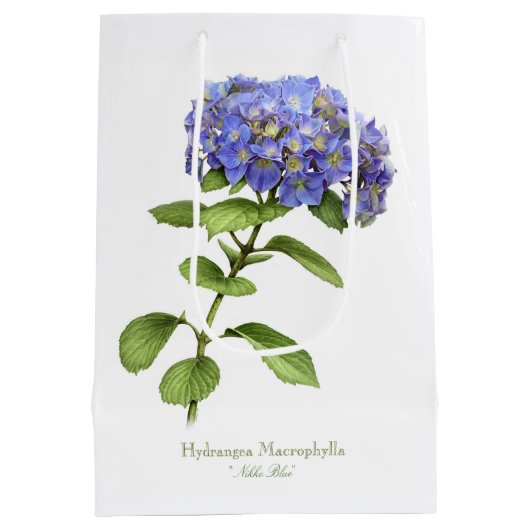 Blauwwaterventilator Medium Cadeauzakje (Achterkant)