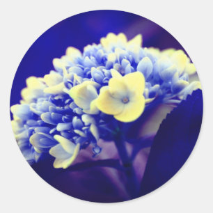 Blauwwaterventilator Ronde Sticker