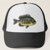 Blauwzonnig Trucker Pet (Voorkant)