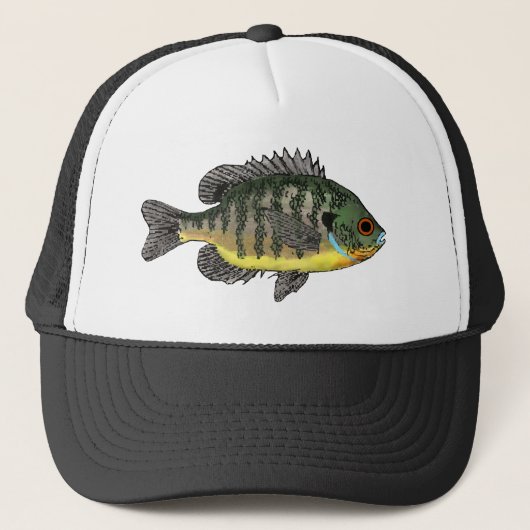 Blauwzonnig Trucker Pet (Voorkant)