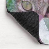 Blaze Cat Eyes Mousepad Muismat (Hoek)