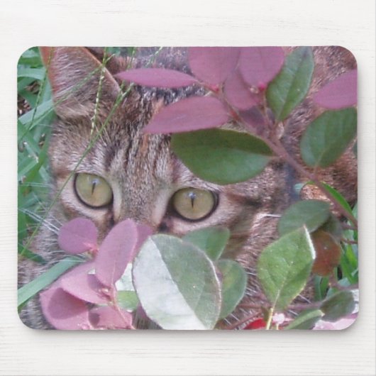 Blaze Cat Eyes Mousepad Muismat (Voorkant)