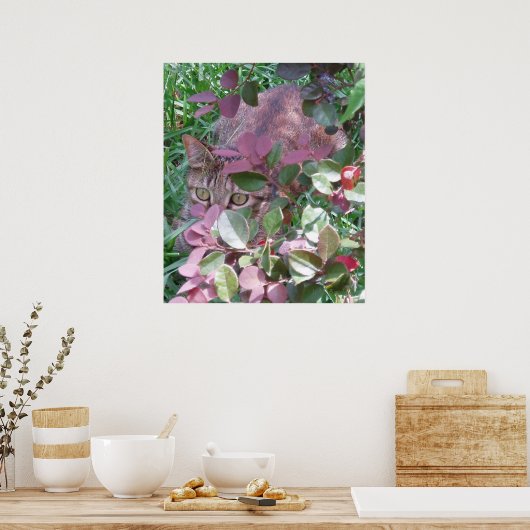 Blaze Cat Eyes Poster (Keuken)