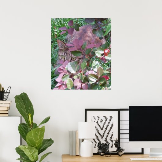 Blaze Cat Eyes Poster (Thuiskantoor)