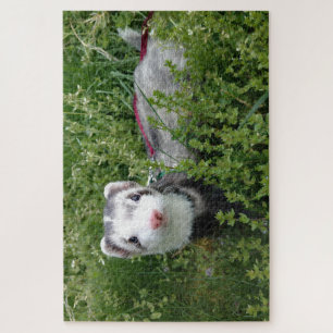 Blaze Ferret Puzzle Legpuzzel