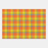 Blaze Orange and Bird Flower Plaid Inpakpapier Vel (Voorkant 2)