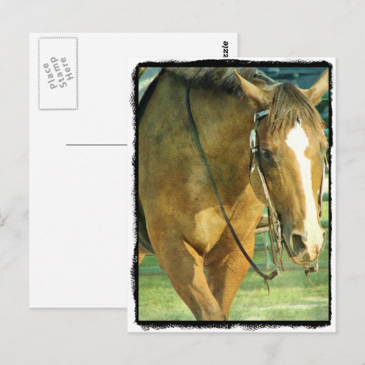 Blaze Westerne paarden Briefkaart (Voorkant / Achterkant)