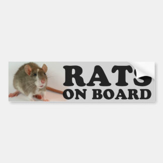 (Blazed) Rats on board Bumpersticker