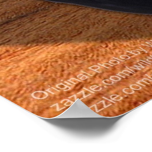 Blazen Raven Poster (Hoek)