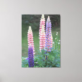 Blazende sterrenbloemen canvas afdruk (Voorkant)