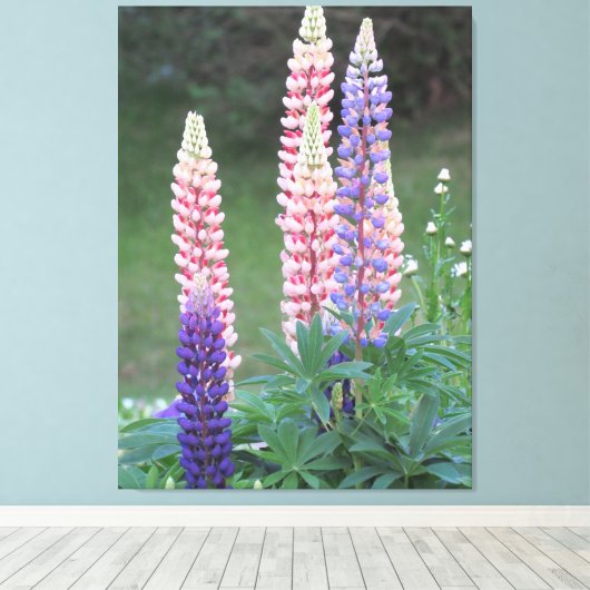 Blazende sterrenbloemen canvas afdruk (Insitu (Houten vloer))