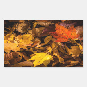 Blazing Autumn Leaves Rechthoekige Sticker
