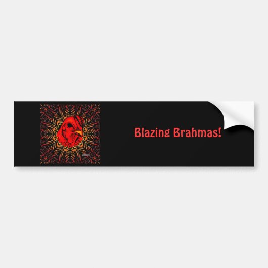 Blazing Brahma Bumpersticker (Voorkant)