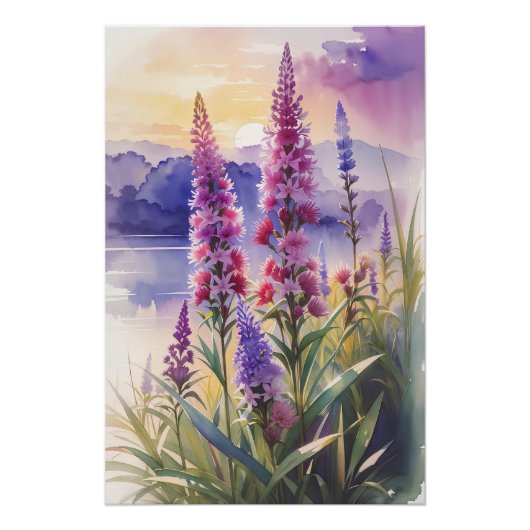 Blazing Star Beauty Perfect Poster (Voorkant)