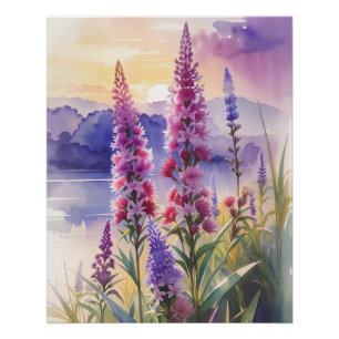 Blazing Star Beauty Perfect Poster