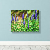 Blazing Star bloemen Canvas Afdruk (Insitu (Houten vloer))