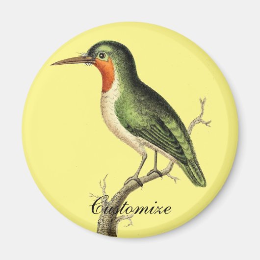 Blazing Sun Thunder_Cove Magneet (Voorkant)