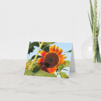 Blazing Sunflower Note Kaart