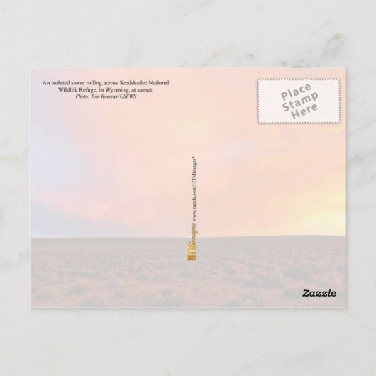 Blazing Sunset met bliksem over woestijn Briefkaart (Achterkant)