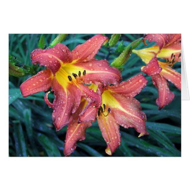 Blazing Torch (Voorkant Horizontaal)