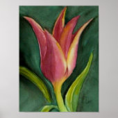 Blazing Tulip Poster (Voorkant)