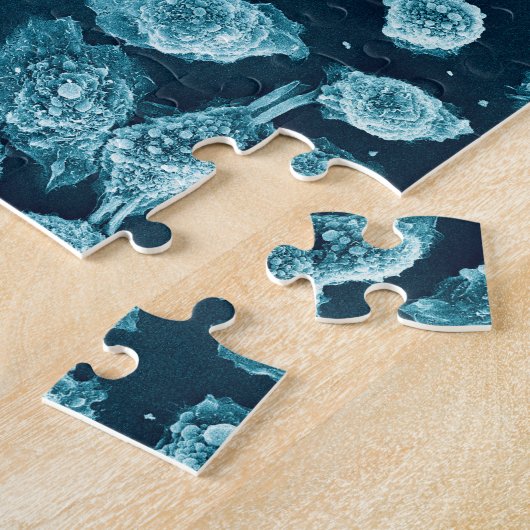 Blebby mitotische celpuzzel legpuzzel (Zijkant)