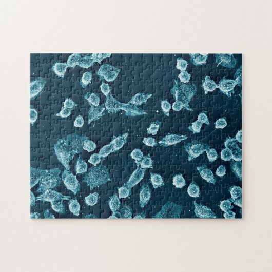 Blebby mitotische celpuzzel legpuzzel (Horizontaal)