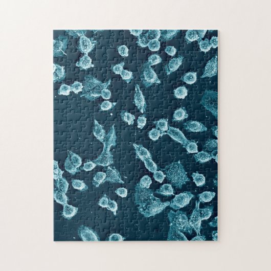 Blebby mitotische celpuzzel legpuzzel (Verticaal)