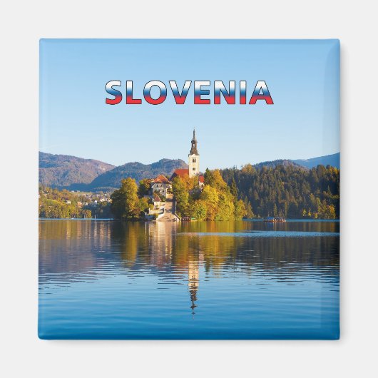 BLED 001M MAGNEET (Voorkant)