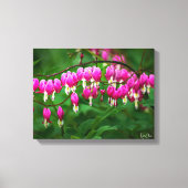 Bleeding Heart Canvas Print (Voorkant)