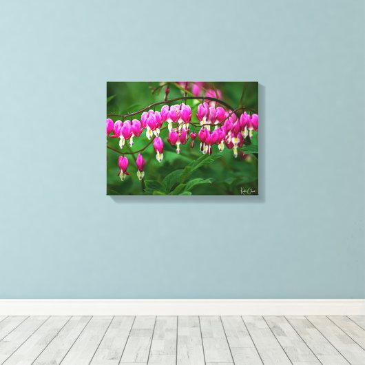 Bleeding Heart Canvas Print (Insitu (Houten vloer))