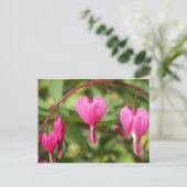 Bleeding Hearts Briefkaart (Staand voorkant)