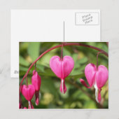 Bleeding Hearts Briefkaart (Voorkant / Achterkant)
