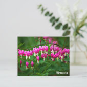 Bleeding Hearts Postcard Briefkaart (Staand voorkant)