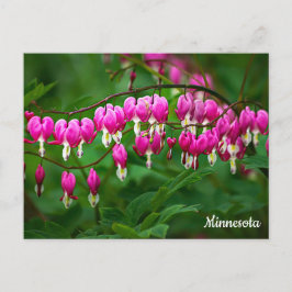 Bleeding Hearts Postcard Briefkaart