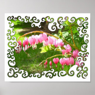 Bleeding Hearts Swirley Poster