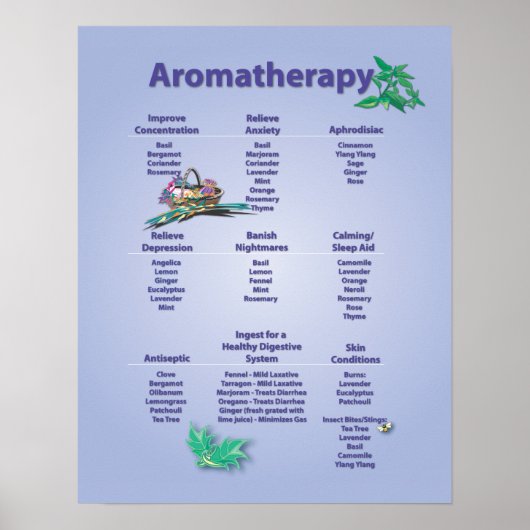 Bleek blauw Aromatherapiediagram Poster (Voorkant)