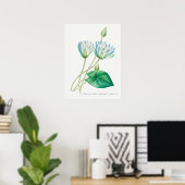 Bleek blauw Lotus Flower Botanical Illustration Poster (Thuiskantoor)