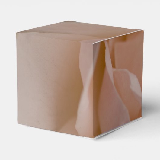 Bleek bleekroze roze bruiloft bedankdoosjes (Achterkant)