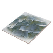 Bleek Blue Hydrangea Flowers Tegeltje (Zijkant)