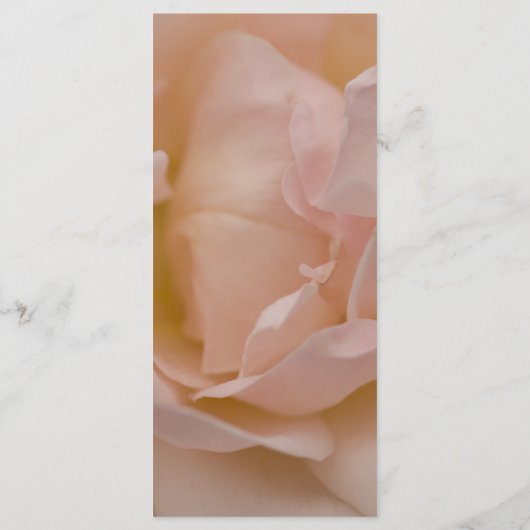 Bleek Blush Pink Rose Floral Wedding Programme Programmakaart (Achterkant)