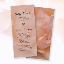Bleek Blush Pink Rose Floral Wedding Programme Programmakaart