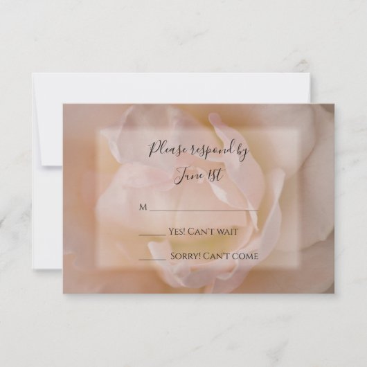 Bleek Blush Roze Rose Floral Wedding RSVP Reactie (Voorkant)