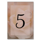 Bleek Blush roze roze platte tabelnummers Kaart (Achterkant)