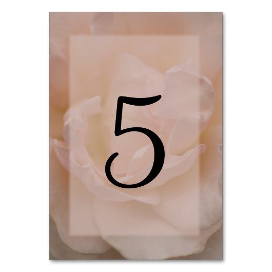 Bleek Blush roze roze platte tabelnummers Kaart (Voorkant)